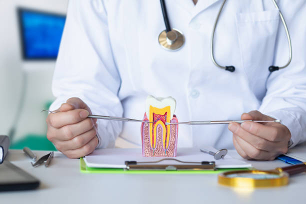 Best Emergency Tooth Extraction in Starbuck, MN
